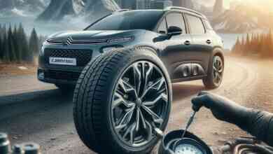 Citroen C4 Aircross lastik hava basıncı