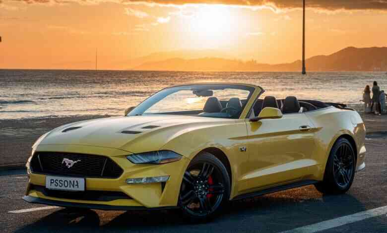 Ford Mustang Convertible lastik hava basıncı