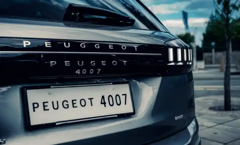 Peugeot 4007 lastik basıncı