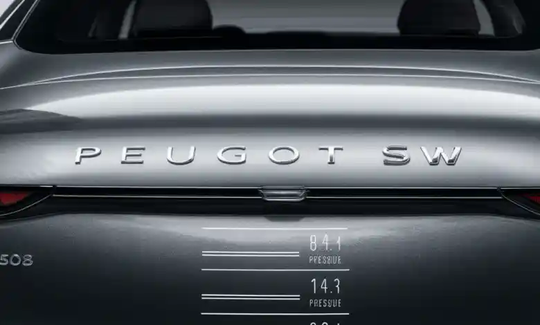Peugeot 508 SW lastik hava basıncı