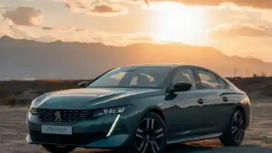 Peugeot 508 lastik hava basıncı