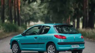 Peugeot 206 lastik hava basıncı