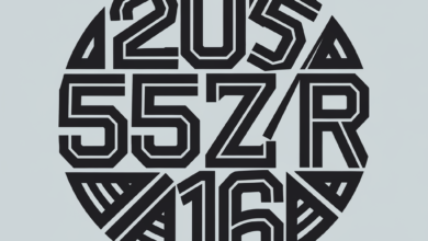 205 55 ZR16 lastik hava basıncı