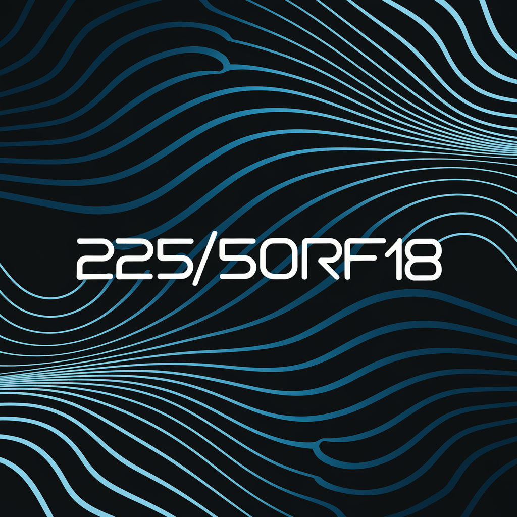 225 50RF18 lastik hava basıncı